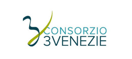 consorzio-3-venezie-verona-logo-partner-welfcare
