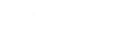 centro servizi welfare verona